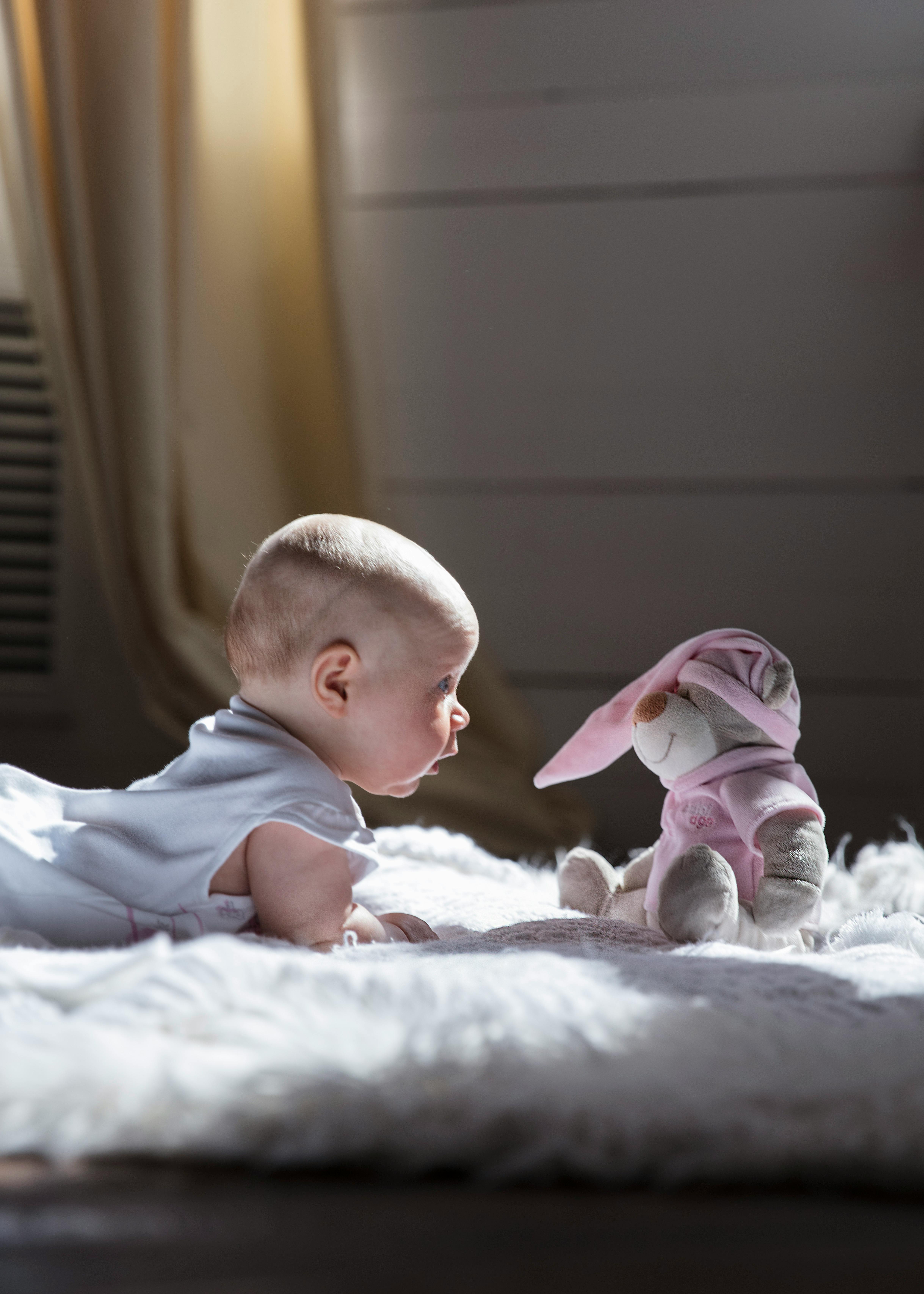 Best 7 Rabbit Vet Choices for Improved Care in 2025